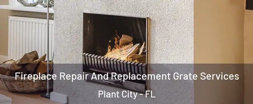  Fireplace Repair And Replacement Grate Services Plant City - FL