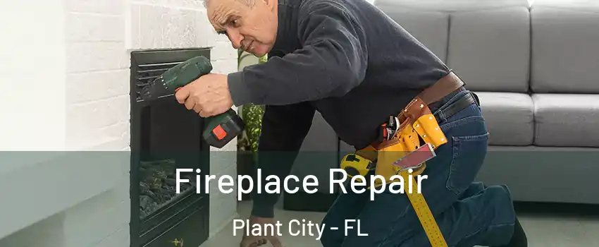  Fireplace Repair Plant City - FL