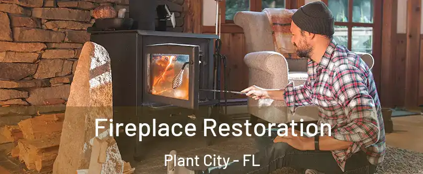  Fireplace Restoration Plant City - FL