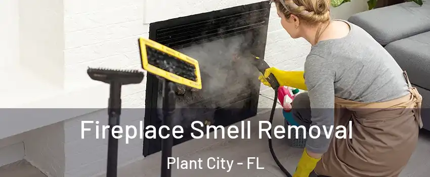  Fireplace Smell Removal Plant City - FL