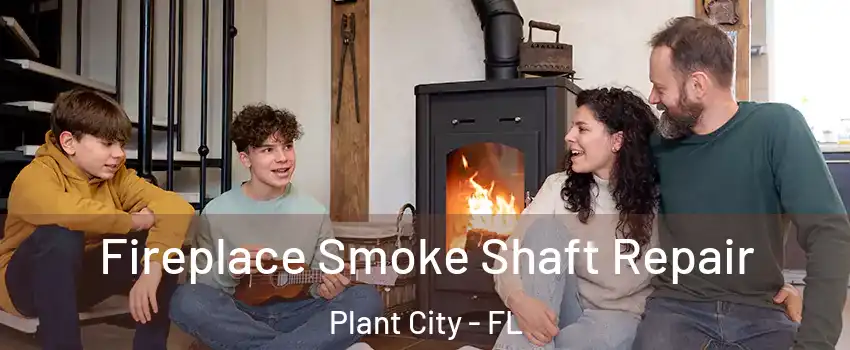  Fireplace Smoke Shaft Repair Plant City - FL