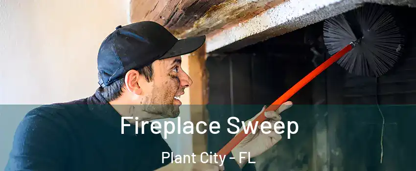  Fireplace Sweep Plant City - FL