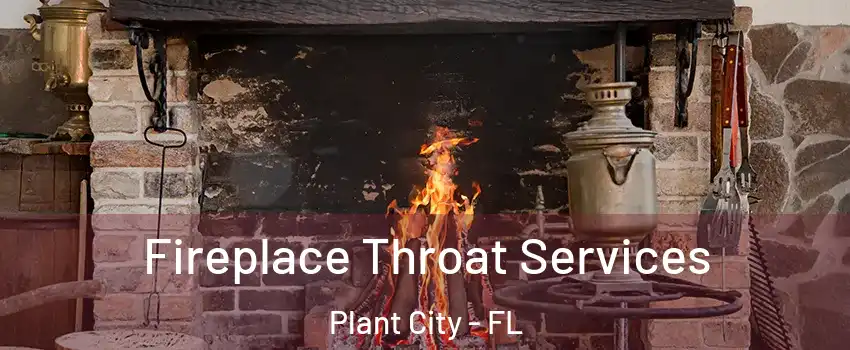  Fireplace Throat Services Plant City - FL