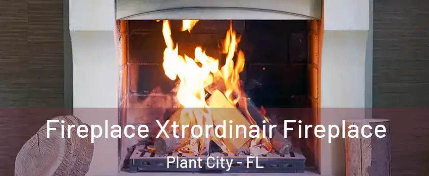  Fireplace Xtrordinair Fireplace Plant City - FL