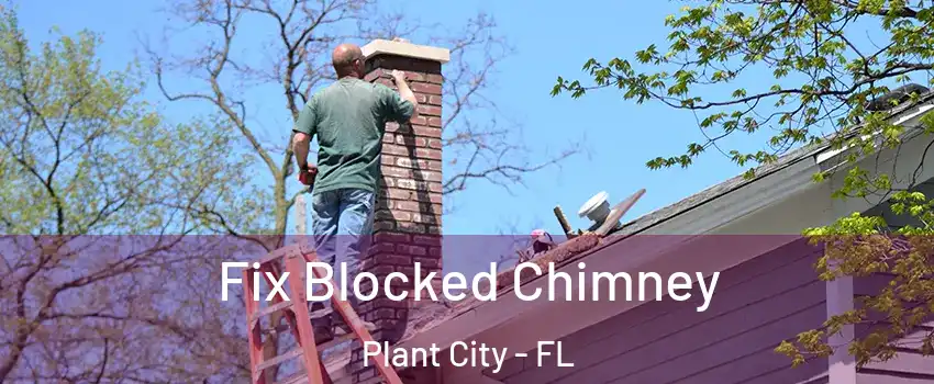  Fix Blocked Chimney Plant City - FL