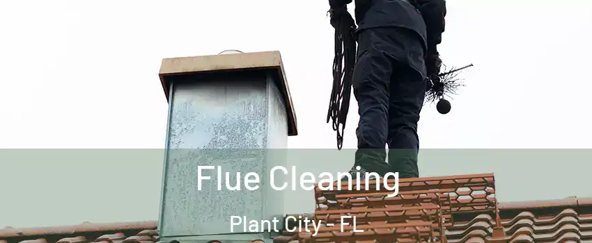  Flue Cleaning Plant City - FL