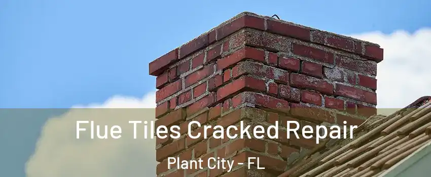  Flue Tiles Cracked Repair Plant City - FL