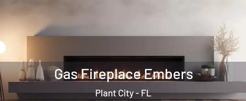  Gas Fireplace Embers Plant City - FL