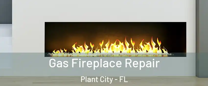  Gas Fireplace Repair Plant City - FL