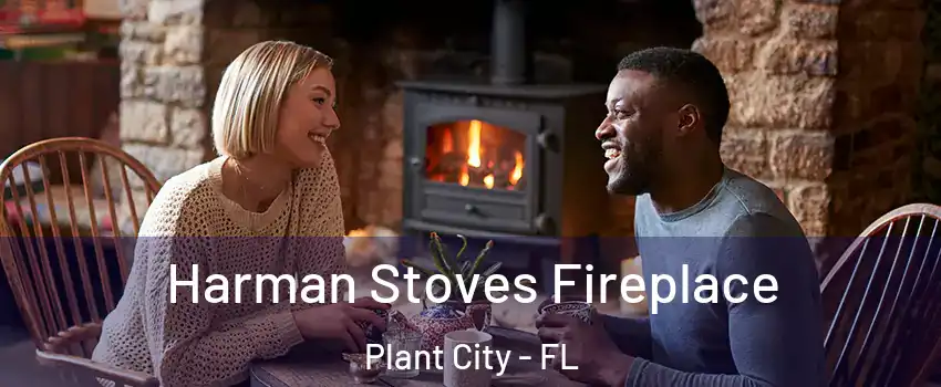  Harman Stoves Fireplace Plant City - FL