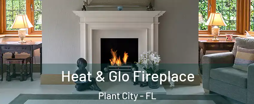  Heat & Glo Fireplace Plant City - FL