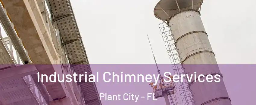  Industrial Chimney Services Plant City - FL