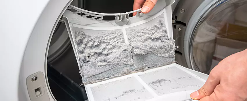 Best Dryer Lint Removal Company in Plant City, Florida