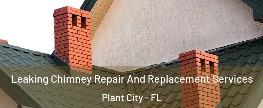  Leaking Chimney Repair And Replacement Services Plant City - FL