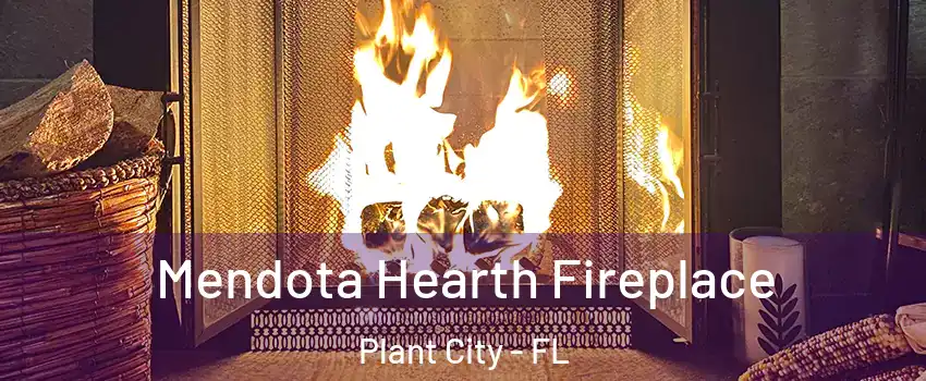  Mendota Hearth Fireplace Plant City - FL