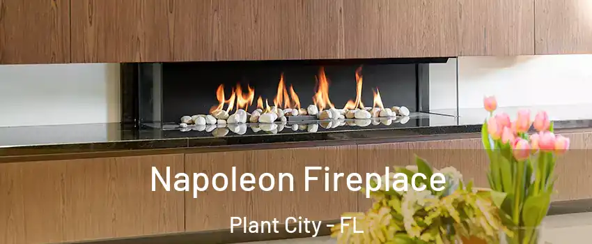  Napoleon Fireplace Plant City - FL