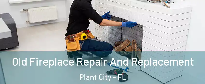  Old Fireplace Repair And Replacement Plant City - FL