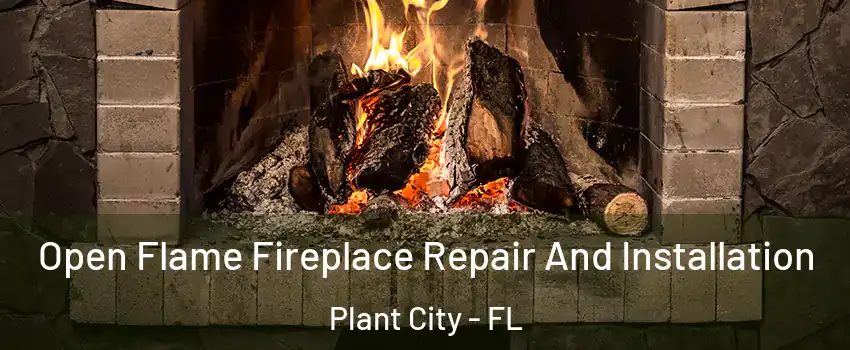  Open Flame Fireplace Repair And Installation Plant City - FL