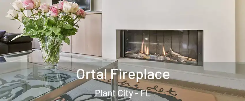  Ortal Fireplace Plant City - FL