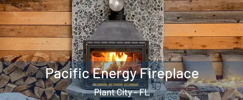  Pacific Energy Fireplace Plant City - FL