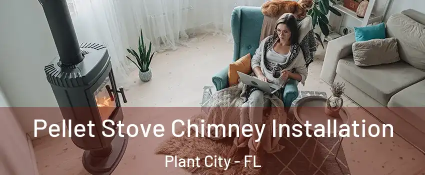  Pellet Stove Chimney Installation Plant City - FL