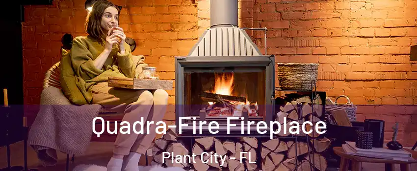  Quadra-Fire Fireplace Plant City - FL