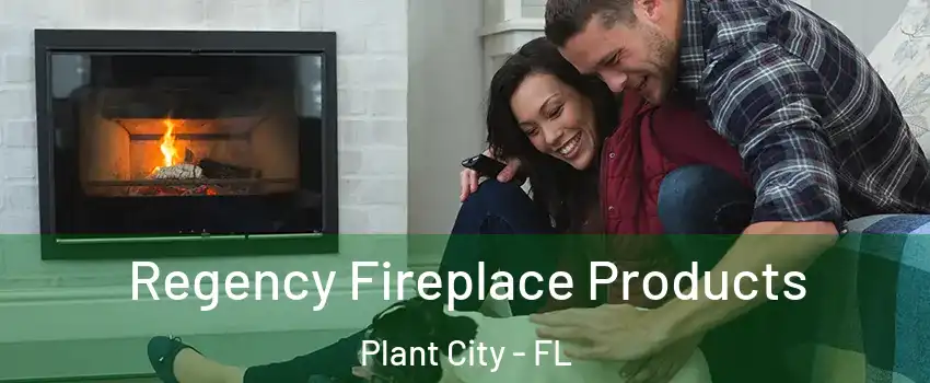  Regency Fireplace Products Plant City - FL