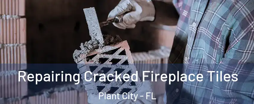  Repairing Cracked Fireplace Tiles Plant City - FL