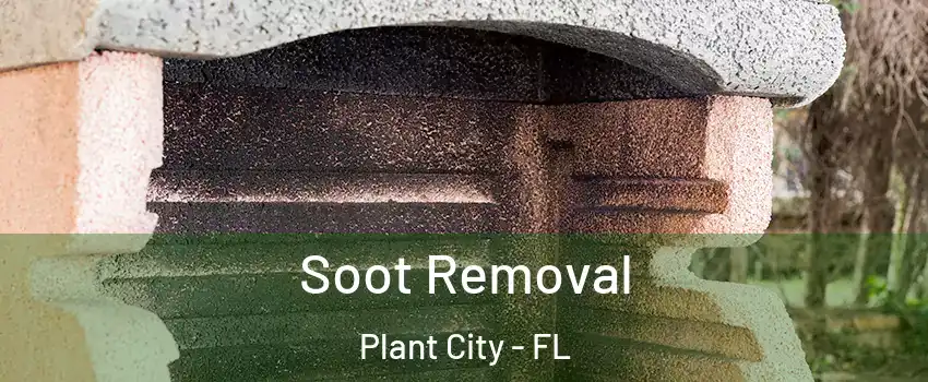 Soot Removal Plant City - FL