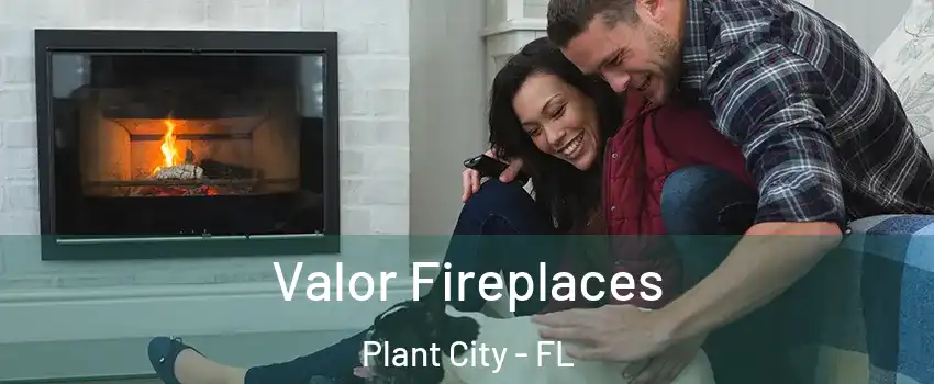  Valor Fireplaces Plant City - FL