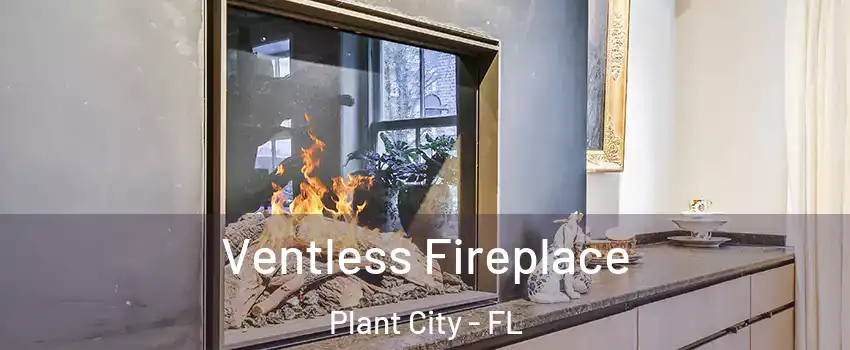  Ventless Fireplace Plant City - FL