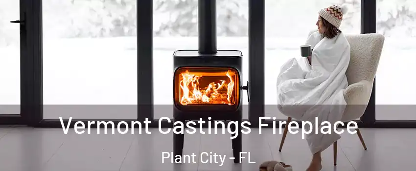  Vermont Castings Fireplace Plant City - FL