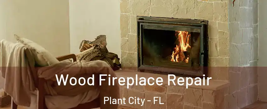  Wood Fireplace Repair Plant City - FL