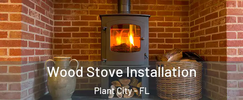 Wood Stove Installation Plant City - FL